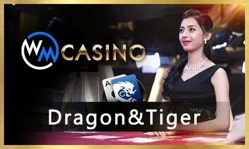Jili56 Com Live Dealer Casino